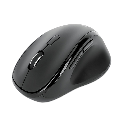 Ratón (Mouse)